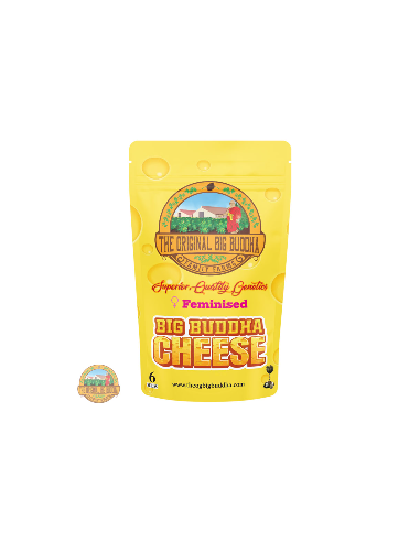 Original Cheese Seeds by The Original Big Buddha Farms