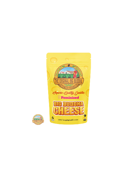 Original Cheese Seeds by The Original Big Buddha Farms