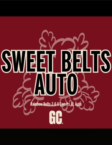 Sweet Belts Auto (Grand Cru Genetics) 🍬 Candy Flavor