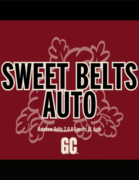 Sweet Belts Auto (Grand Cru Genetics) 🍬 Candy Flavor