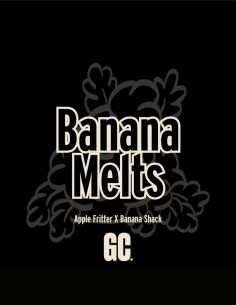 Banana Melts (Grand Cru Genetics) 🍌 Loud Flavor