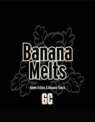 Banana Melts (Grand Cru Genetics) 🍌 Loud Flavor