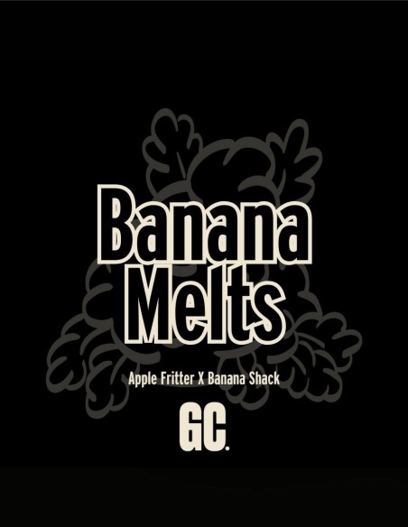 Banana Melts (Grand Cru Genetics) 🍌 Loud Flavor
