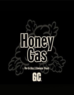 Honey Gas (Grand Cru Genetics) 🍯 Craft Regular