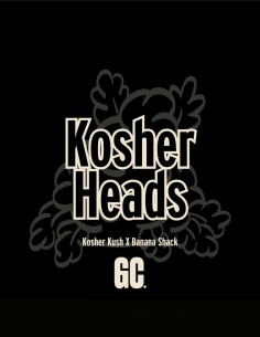 Kosher Heads (Grand Cru Genetics) 🍌 Banana Funk