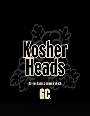 Kosher Heads (Grand Cru Genetics) 🍌 Banana Funk