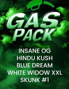 Gas Pack (Barneys Farm) 🔥​ Graines Mixtes Premium