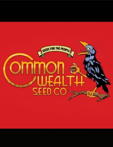 Grape Krush (Commonwealth Seed Co) 🍍 Tropical Grape Terps