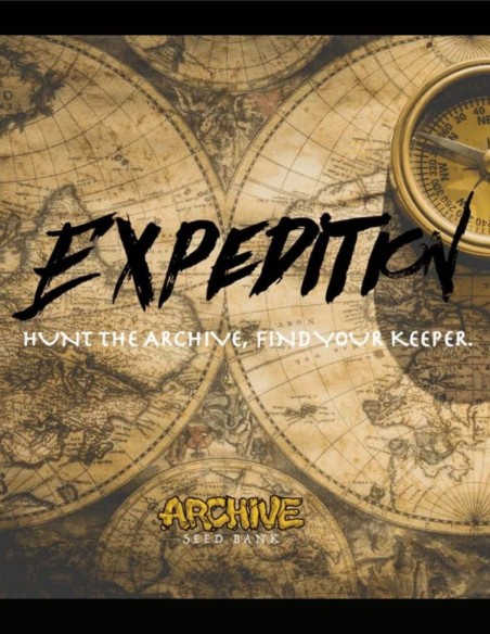 White Runtz x Dark Rainbow #11 (Archive Seed) 🍬 Candy Gas