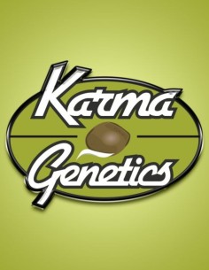 Trop Drops (Karma Genetics) 🌴 Terpènes fruités exotiques