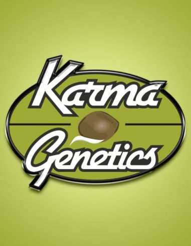 Trop Drops (Karma Genetics) 🌴 Terpènes fruités exotiques