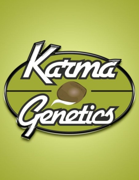 Trop Drops (Karma Genetics) 🌴 Terpènes fruités exotiques