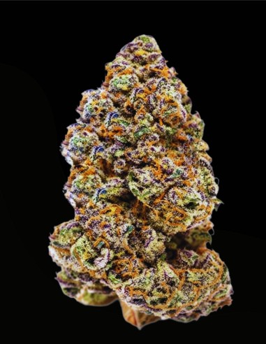 Milkshake Nerdz (Growers Choice) 🍓 Terpènes Fraise Raisin