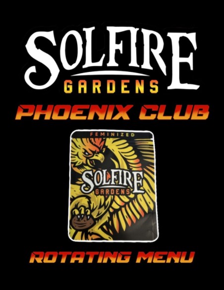 Butter Balm (Solfire Gardens) 🍦 Hybride Indica Vanilla Gas