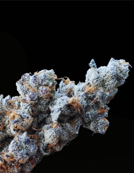 Diamond Daggers (Solfire Gardens) ⛽ Saveur puissante de gas