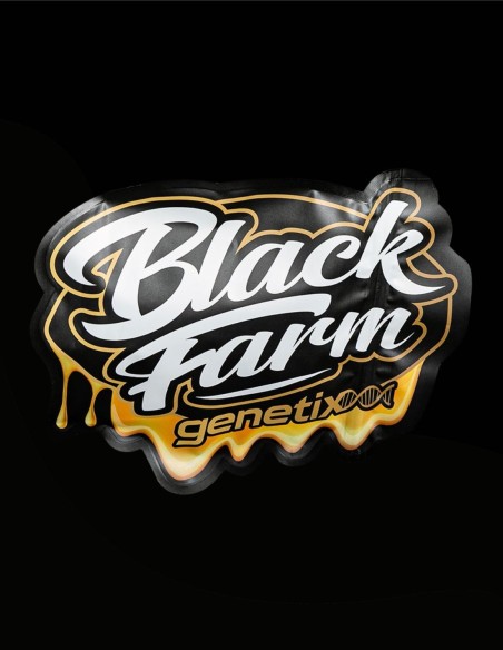 Grapenanagas (Black Farm Genetix) 🚀 Ausgewogenes High