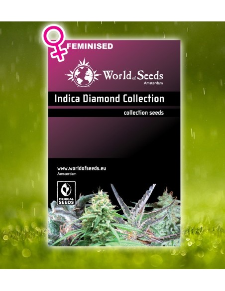 Indica Diamond Collection