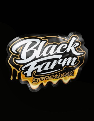 Rainbow Cherry (Black Farm Genetix) 🍒 Fruchtiger Punch