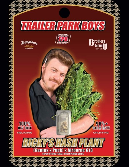 Graines Ricky's Hash Plant (Brothers Grimm Seeds) 🌿 Hybride