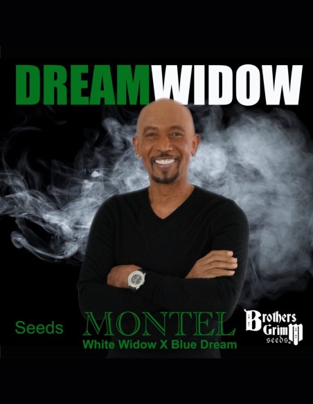 Semillas Montel's Dream Widow (Brothers Grimm) 🌿 Pino