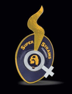 Purple Kush 🌿 (Super Strains)