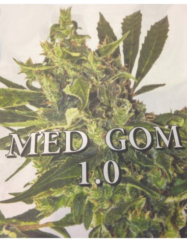 Med Gom 1.0