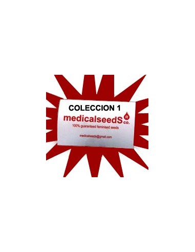 Buy Coleccion 1 from Medical Seeds - Oaseeds