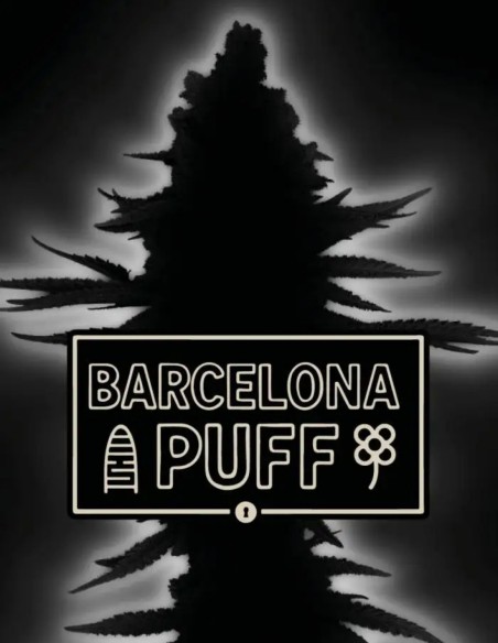 Barcelona Puff Auto Seeds (Seedstockers) 🌸 Floral Power