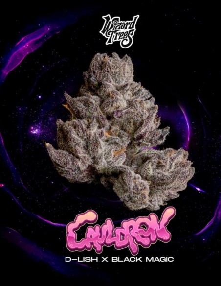 Cauldron Seeds (Wizard Trees) ✨ Black Magic Hybrid