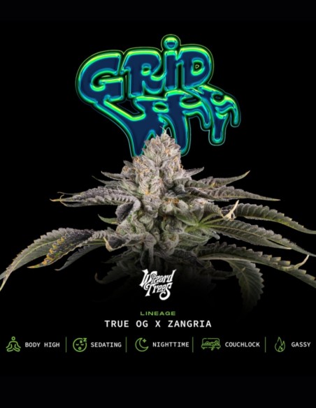 Gridlock Seeds (Wizard Trees) 🌿 Heavy OG Hybrid