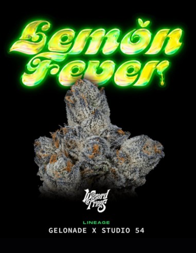 Lemon Fever Seeds (Wizard Trees) 🍋 Citrus Power
