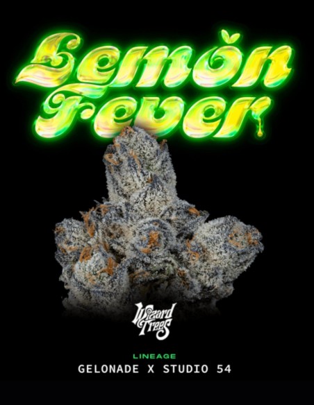 Lemon Fever Seeds (Wizard Trees) 🍋 Citrus Power