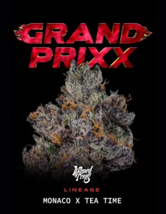 Grand Prixx Seeds (Wizard Trees) 🌿 Exotic Hybrid