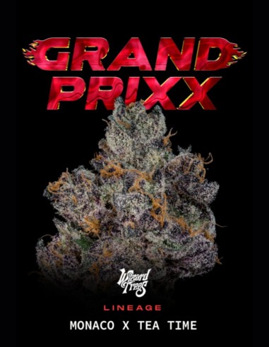 Grand Prixx Seeds (Wizard Trees) 🌿 Exotic Hybrid