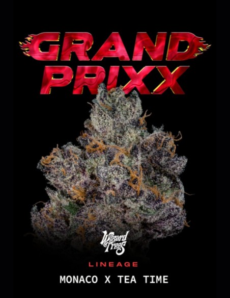 Grand Prixx Seeds (Wizard Trees) 🌿 Exotic Hybrid