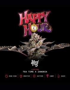 Happy Hour Seeds (Wizard Trees) 🌿 Candy Hybrid