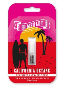 California Octane Seeds (Humboldt) 🌴 Tropical 26% THC 2