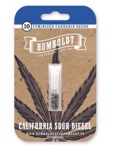 Semillas California Sour Diesel (Humboldt) 💥 Poder Fuel 2