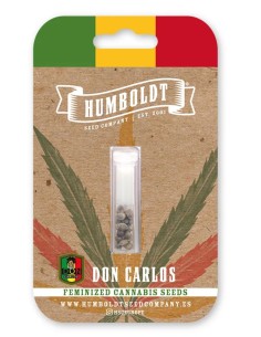 Don Carlos 2