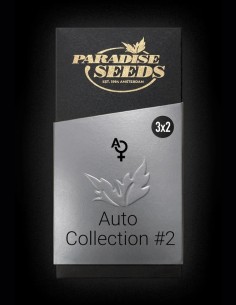 Semillas Auto Collection Pack #2 (Paradise Seeds) 🌿 Favoritas