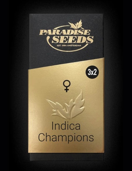 Graines Indica Champions Pack (Paradise Seeds) 🏆 Mix Indica