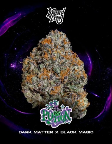 Potion Samen (Wizard Trees) 🌜 Starke entspannende Wirkung