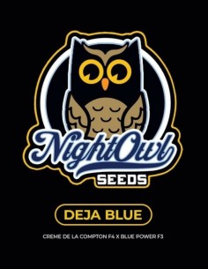 Semillas Deja Blue Auto (Night Owl Seeds) 🍋 Funk de Lima