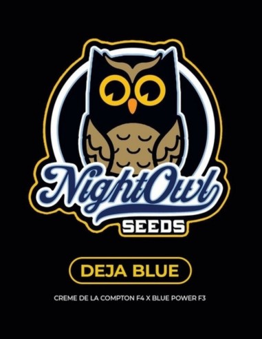 Semillas Deja Blue Auto (Night Owl Seeds) 🍋 Funk de Lima