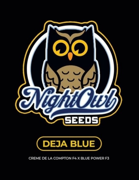 Semillas Deja Blue Auto (Night Owl Seeds) 🍋 Funk de Lima