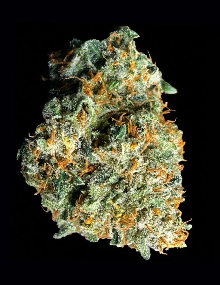 Sirius Blue Auto Seeds (Night Owl Seeds) 🌜 Heavy Relax