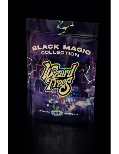 Night Ritual Seeds (Wizard Trees) 🌴 Tropical Relax