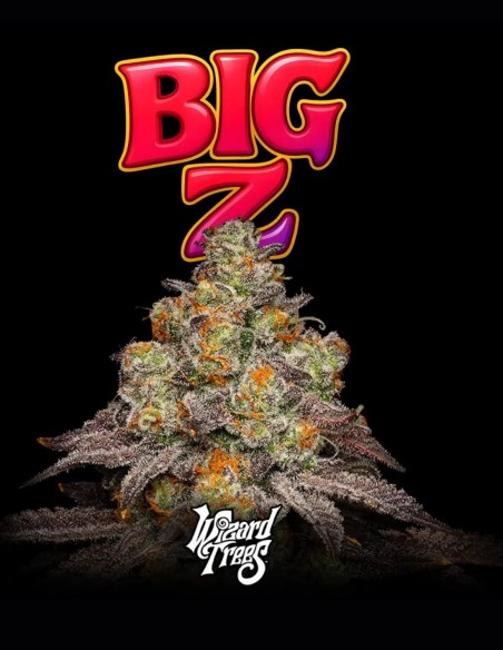 Semillas Big Z (Wizard Trees) 🍒 Sabor Dulce y Relajante