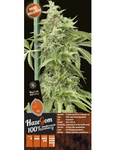 Auto Haze Gom