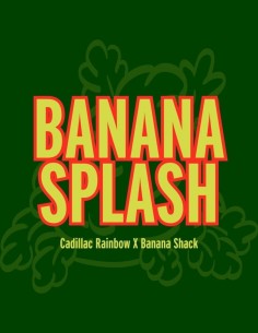Banana Splash Seeds (Grand Cru Genetics) 🍌 Tropical